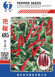 科光種苗“艷椒485”辣椒、“秋實1號”甘藍分別入選2025年農(nóng)業(yè)主導(dǎo)品種、農(nóng)作物優(yōu)良品種推廣目錄